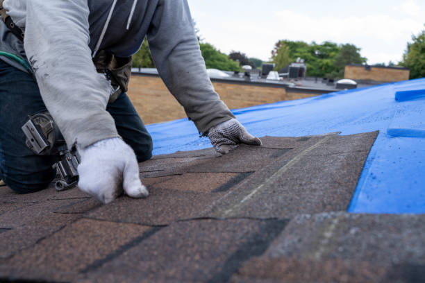 Best Local Roofing Companies  in Ravenswood, WV