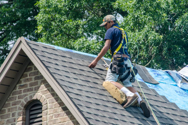 Best Commercial Roofing Services  in Ravenswood, WV